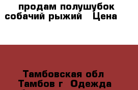 продам полушубок собачий рыжий › Цена ­ 800 - Тамбовская обл., Тамбов г. Одежда, обувь и аксессуары » Женская одежда и обувь   . Тамбовская обл.